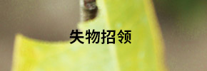 我們的優(yōu)勢(shì)